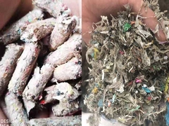 2000 giờ bãi rác MSW RDF REFUSS máy sản xuất hạt 7.5kw