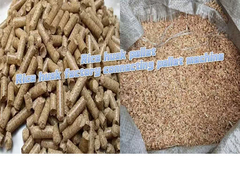 làm thế nào để chọn máy pellets vỏ gạo
