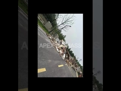 CPM loại 20T / H dây chuyền sản xuất hạt gỗ sinh khối với năng lượng thấp